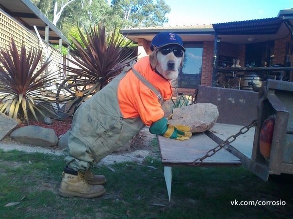 Александр Карнаухов | Артема