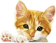 №69, Іванка Попович, Кобеляки №69, Іванка Попович, Кобеляки