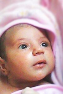 Торос Царукян | Ko Samui