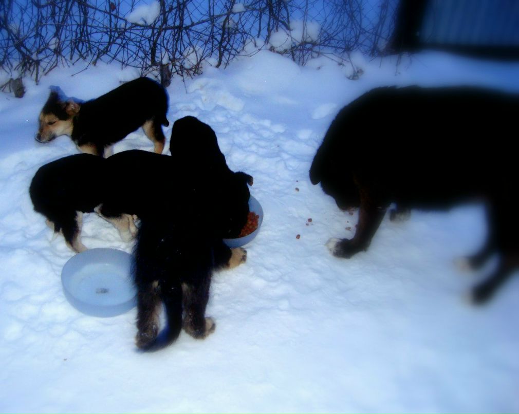 Сергей Константинович | Вавилон