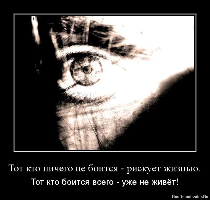 Андрей Градиленко GooDDroN*<<= | 