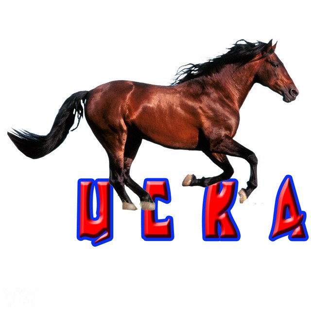 Рома Новиков | Солнечногорск