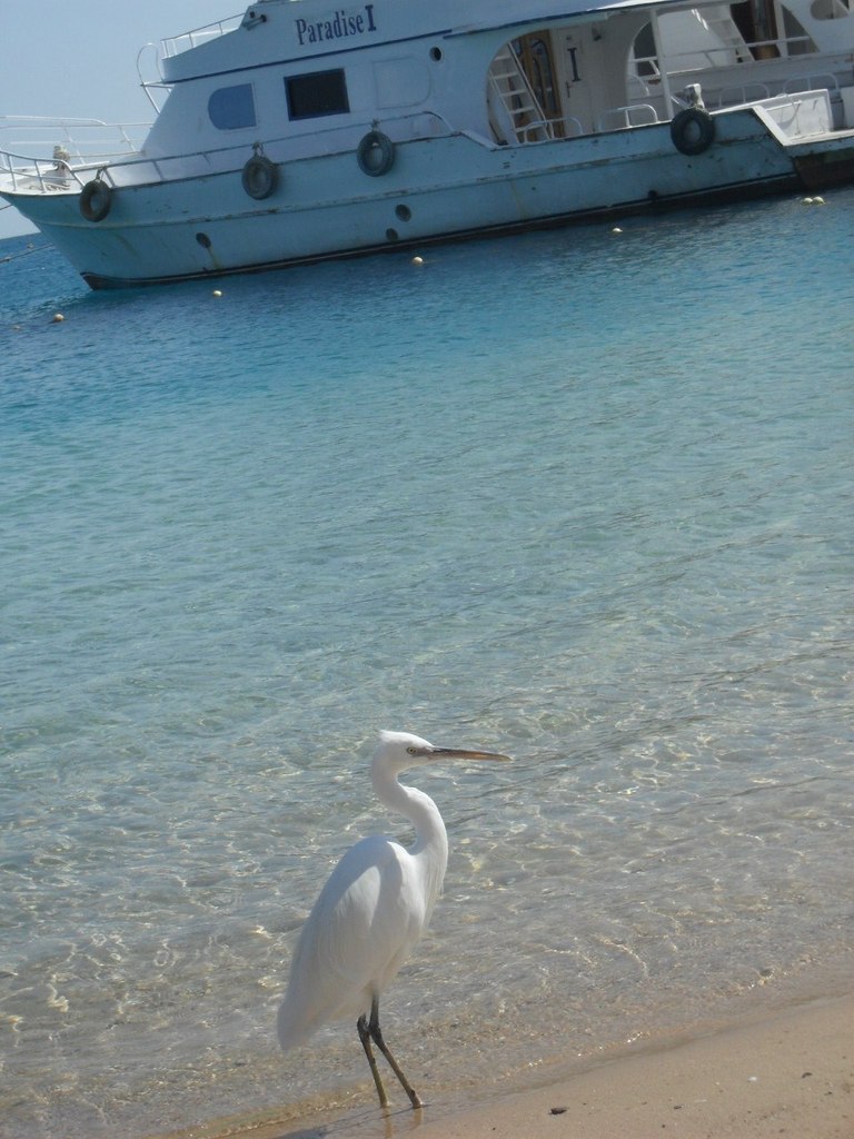 Даша Максимова | Москва