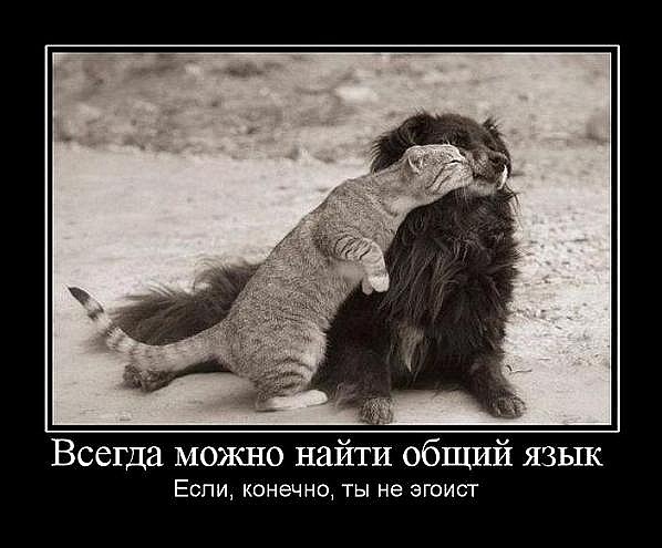 №160, Елена Вершинина, Челябинск №160, Елена Вершинина, Челябинск