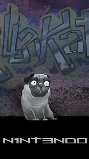 №10, Евгений Пазик, 11.6 №10, Евгений Пазик, 11.6