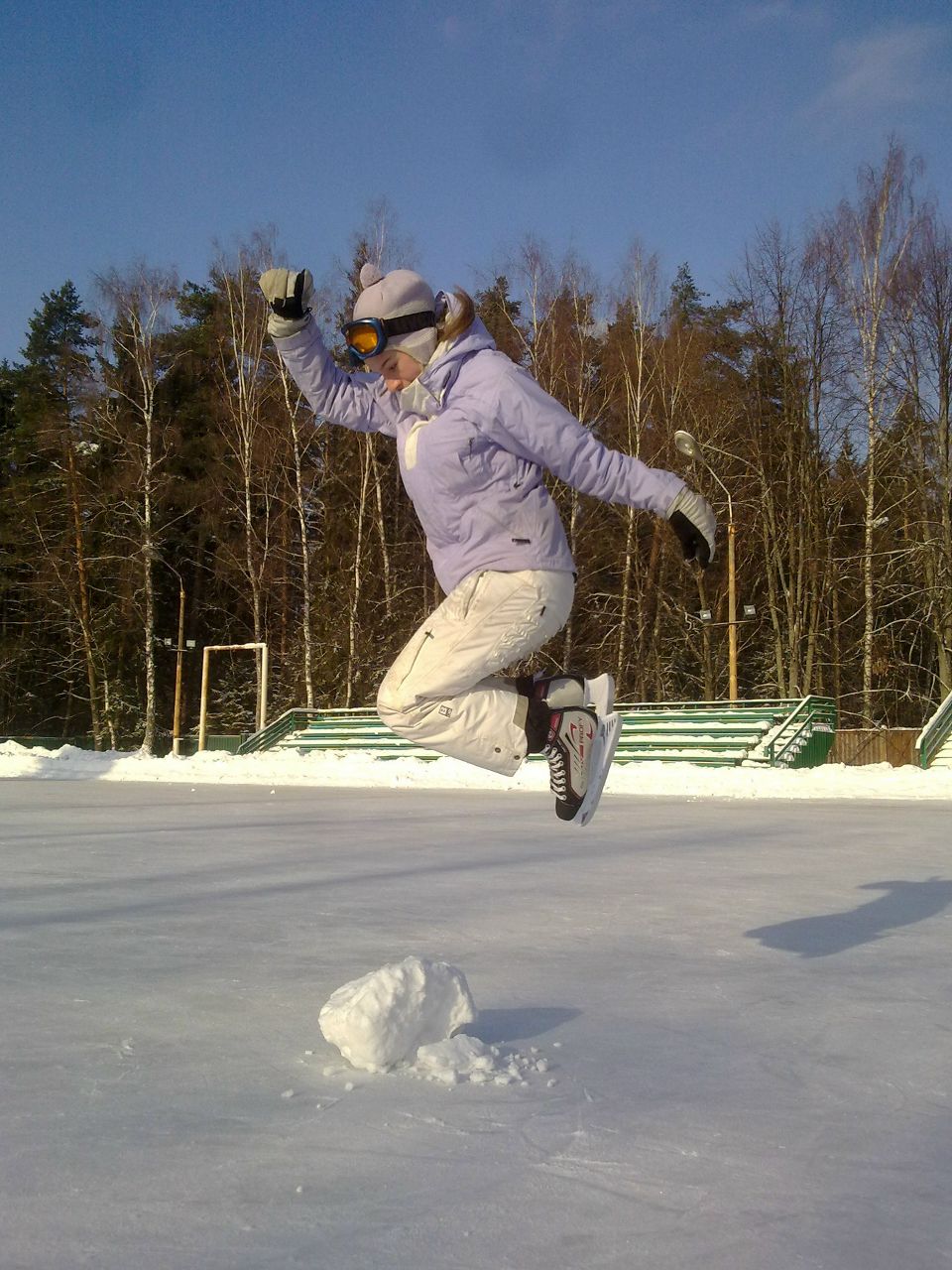 Лиса Vaka-Vaka -Алис- | Москва