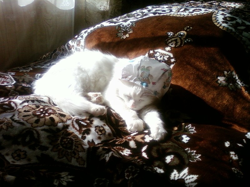 Элла Нечаева | Уфа