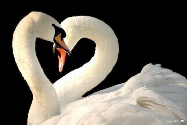 №25, Маша Таранова, Днепр (Днепропетровск) №25, Маша Таранова, Днепр (Днепропетровск)