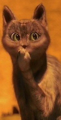 Лёха Калашников | Новосибирск