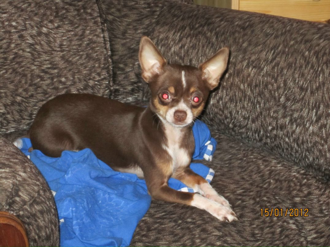 Алеся Огурцова 