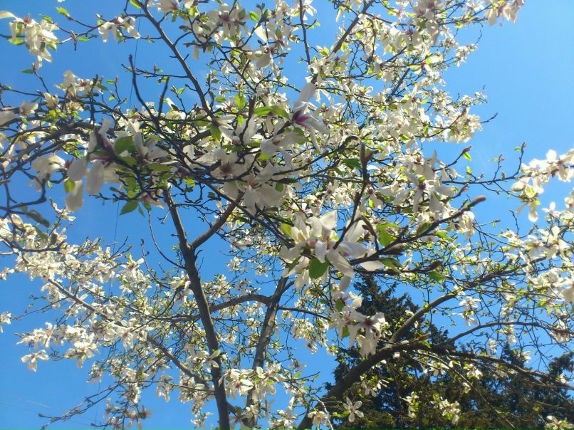 Ольга Мордас | Туапсе