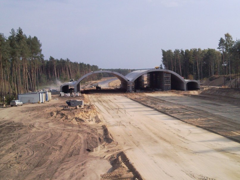 Виталий Островский | Каменец-Подольский