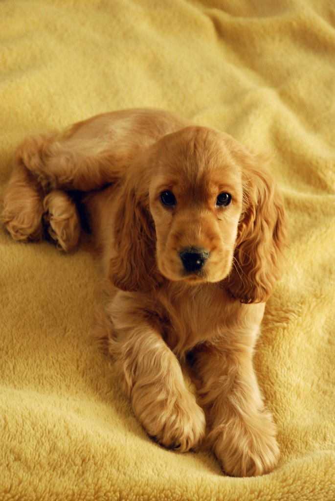 Арина Пеннонен | Espoo