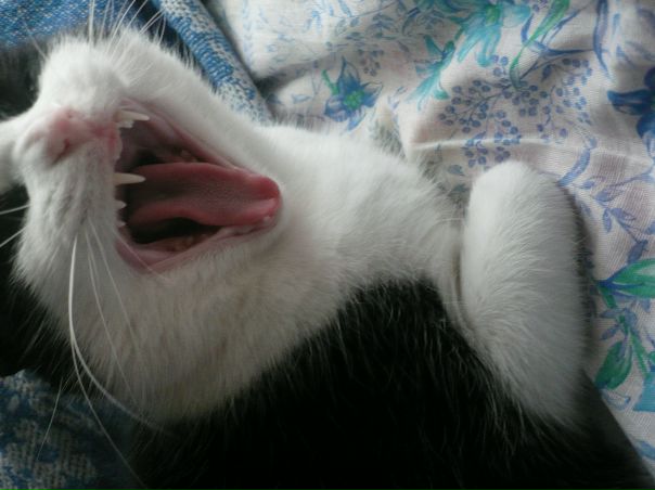 №25, Кристина Пашкова, 34 года, Боровичи №25, Кристина Пашкова, 34 года, Боровичи