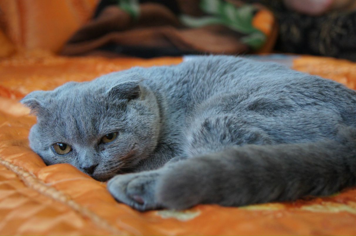 Сергей Жезлов | Нижний Новгород