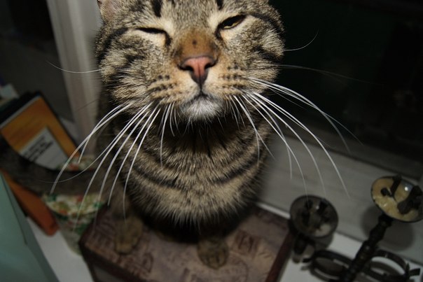 Ольга Кожинова | Москва