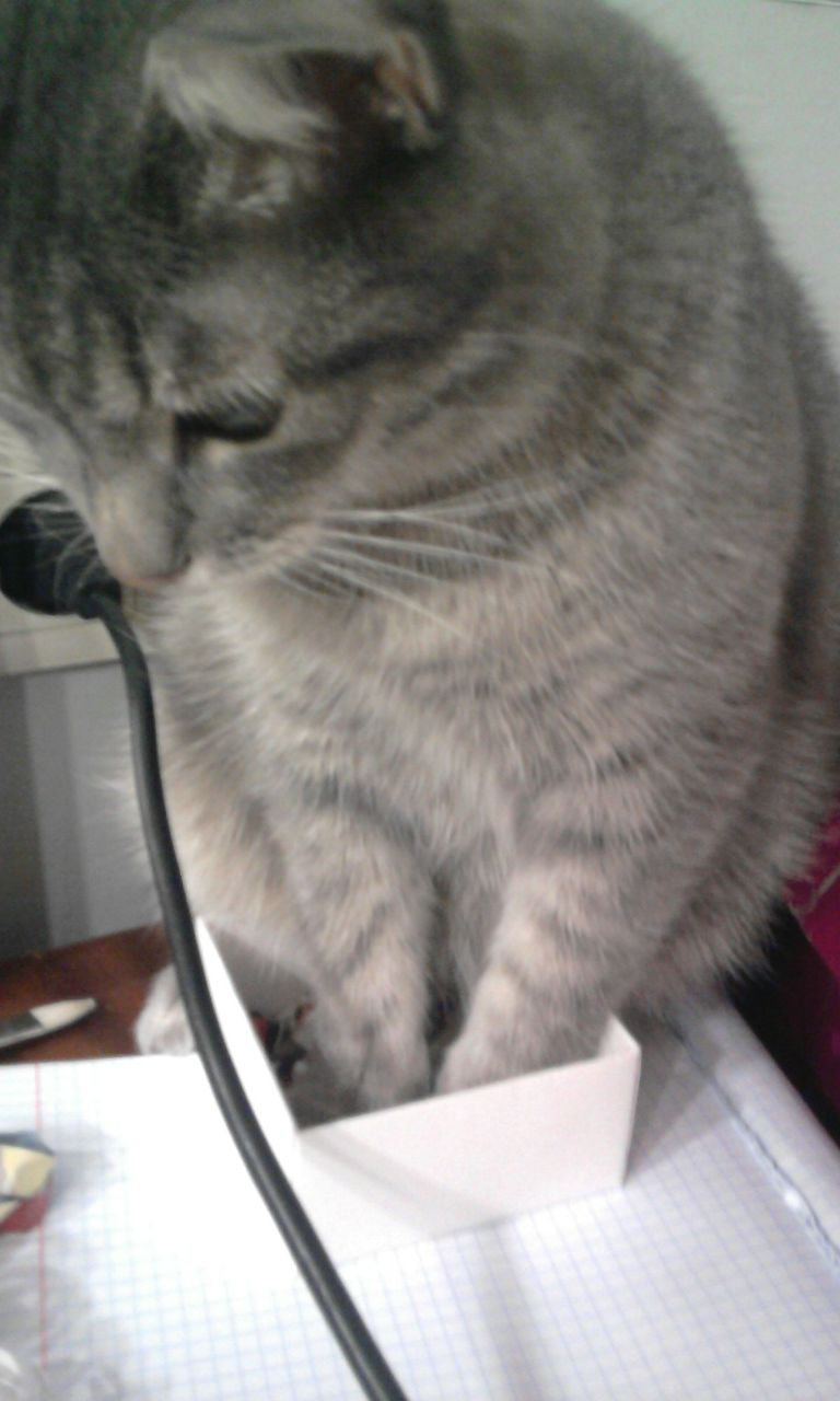 Akulina Akulina | Санкт-Петербург