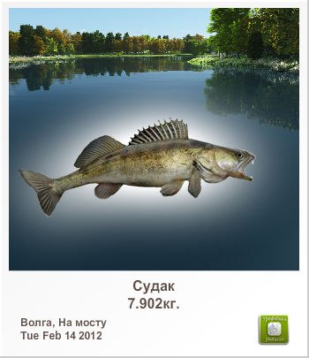 Александр Голубицкий | Кемерово