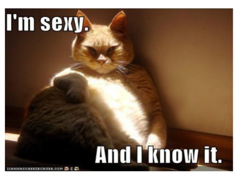 Дмитрий Шельма | Москва