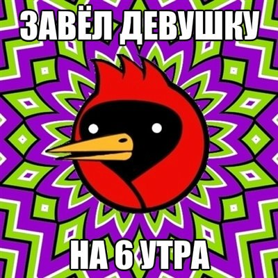 №95, Алексей Котов, Лиманское №95, Алексей Котов, Лиманское