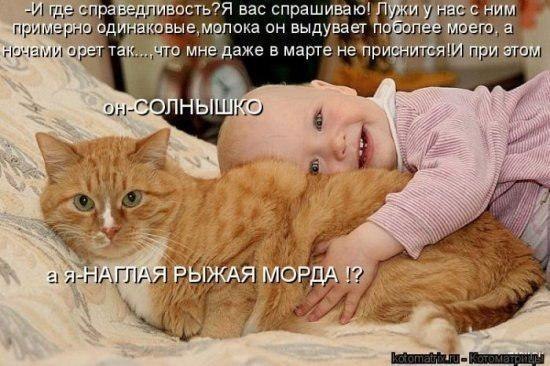 Анна Дзевульская | Киев