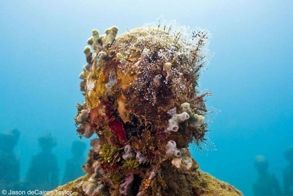 Никита Элхон | Санкт-Петербург