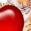 Алина Кузнецова СОВЕРШЕНСТВО | Красноярск