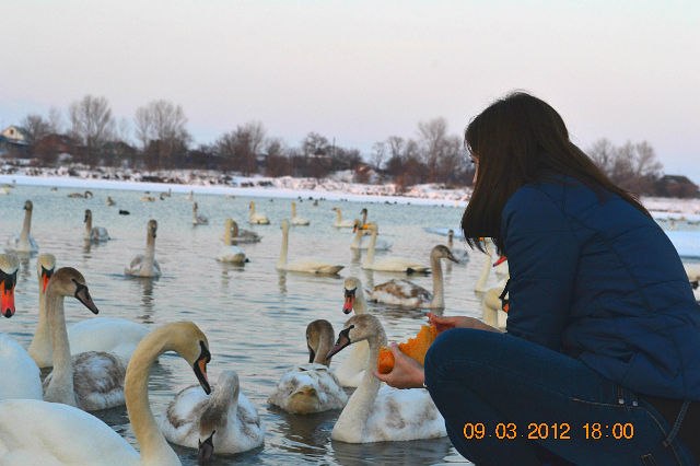 Анна Новикова | Курганинск