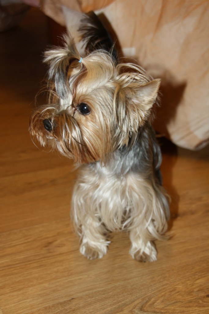 Катерина Можеева | Мытищи