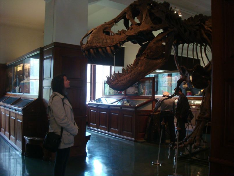 №7, Stephanie Frents, 31 год, Oslo №7, Stephanie Frents, 31 год, Oslo