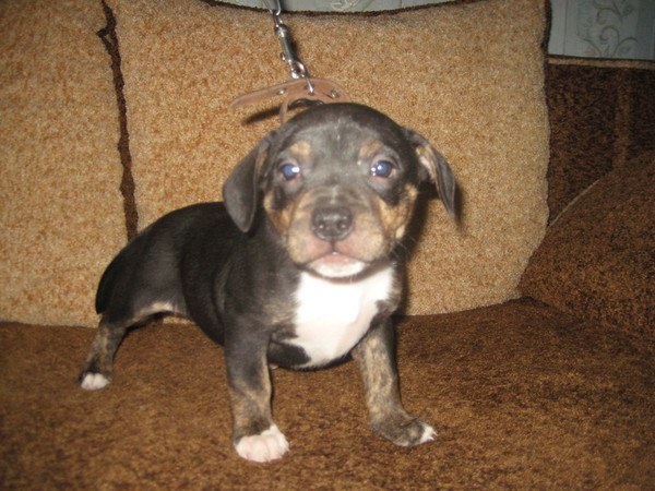 Вера Калунина | Красноярск