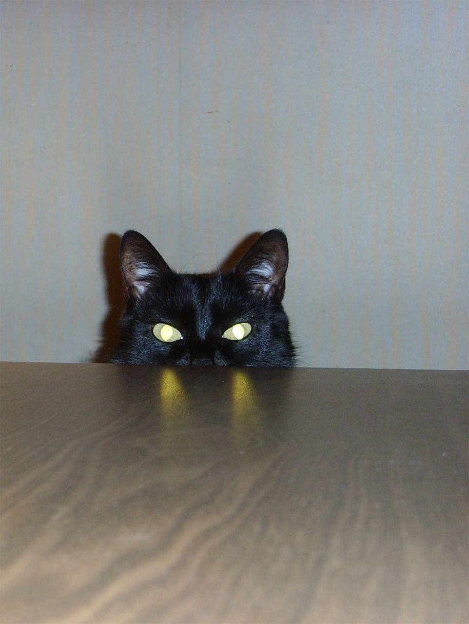 Макс Банников | Москва