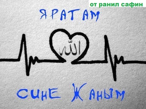 Ранил Сафин фото профиля #1