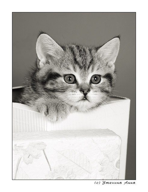 Христина Драганчук | Тернополь