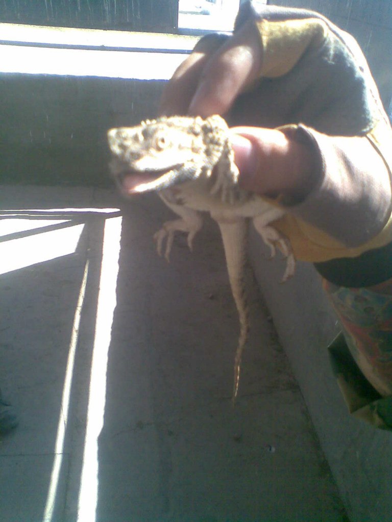 Игорь Гладун | Новоуральск