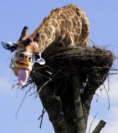 №110, Ольга Достовалова, Санкт-Петербург №110, Ольга Достовалова, Санкт-Петербург