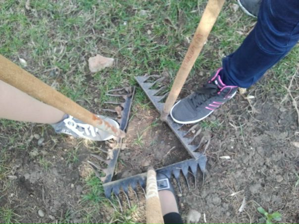 №2, Анастасия Герасименко, Ленинградская №2, Анастасия Герасименко, Ленинградская