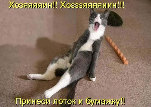 Наталья Ражина | Запорожье