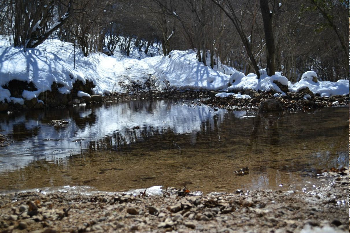 Лариса Ткаченко | Ялта
