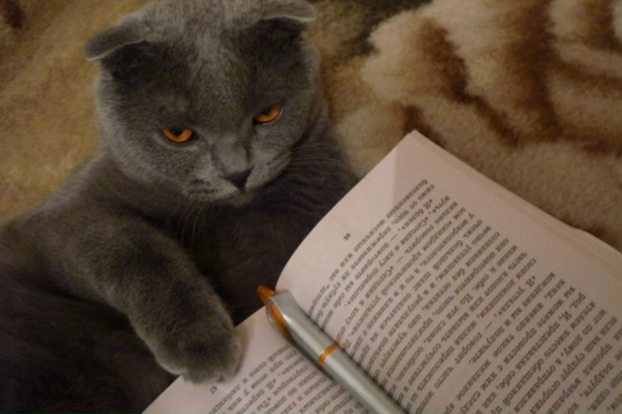 Виктория Журавлева | Новосибирск