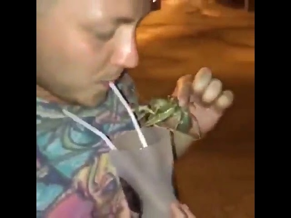 крутой краб. крутой краб. алкоголизм. раки алкоголики. человек пьет алкоголь.