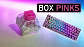 Kailh BOX Pink Sound Check