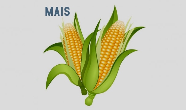 M69 - Cereale Mais (produit)