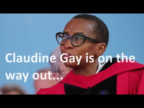 What happens when you appoint a black person to a prestigious post, simply because she