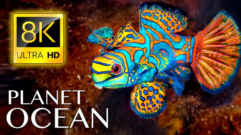 PLANET OCEAN in 8 K ULTRA