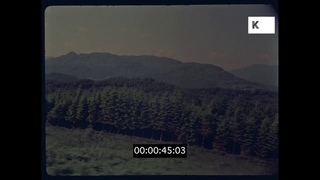 1980s USA Mountainous Forest, 35mm