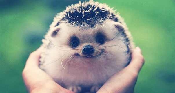 Юлия Буракова | Южно-Сахалинск