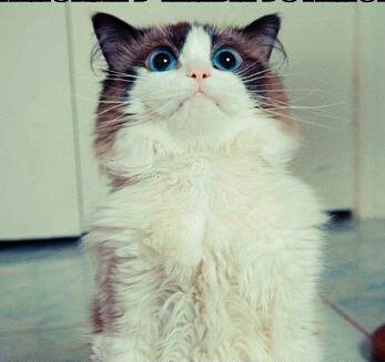 Алексей Савочкин | Смоленск