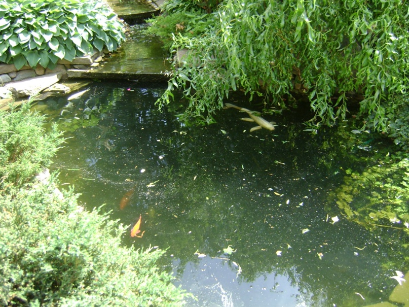 Татьяна Головизнина | Краснокамск