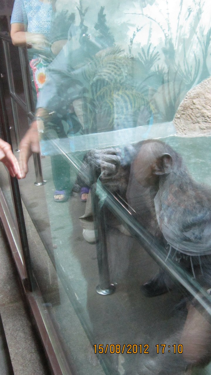 Анастасия Катаева | Ижевск